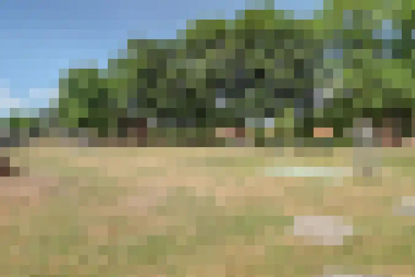 Bilzekruid 11 Veenendaal thumbnail 63