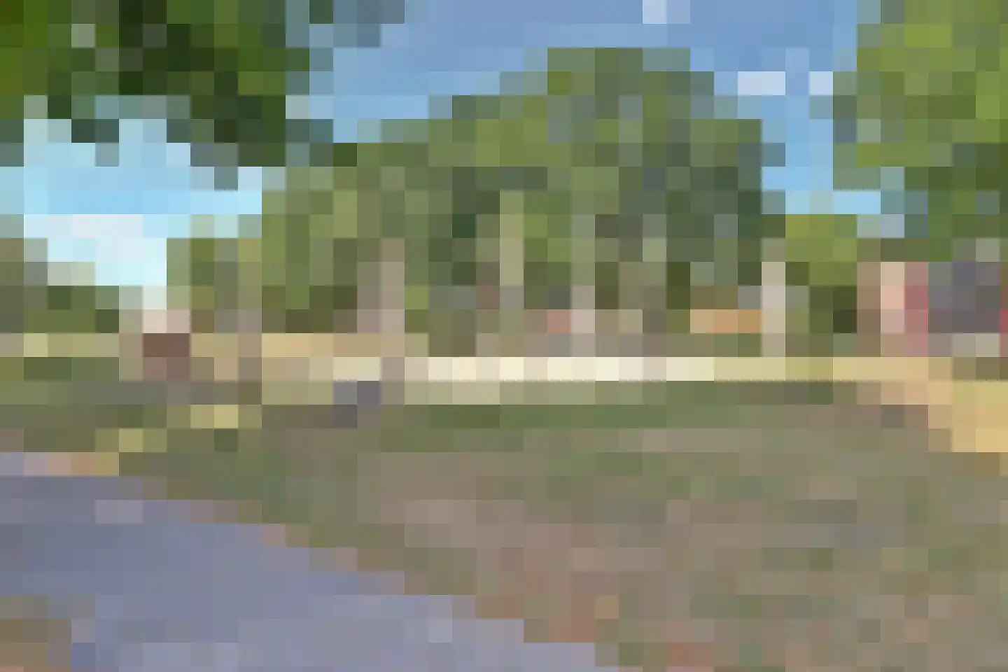 Bilzekruid 11 Veenendaal thumbnail 64