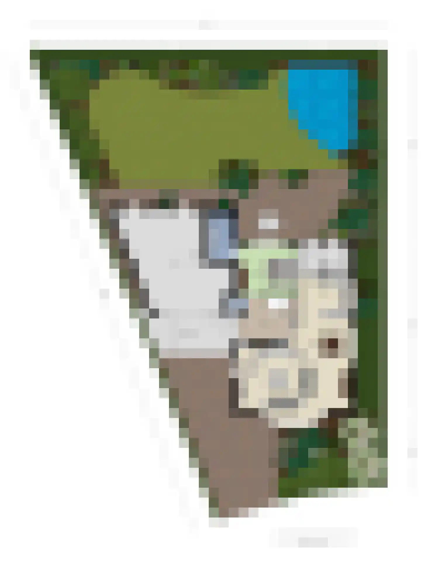 Bilzekruid 11 Veenendaal thumbnail 68
