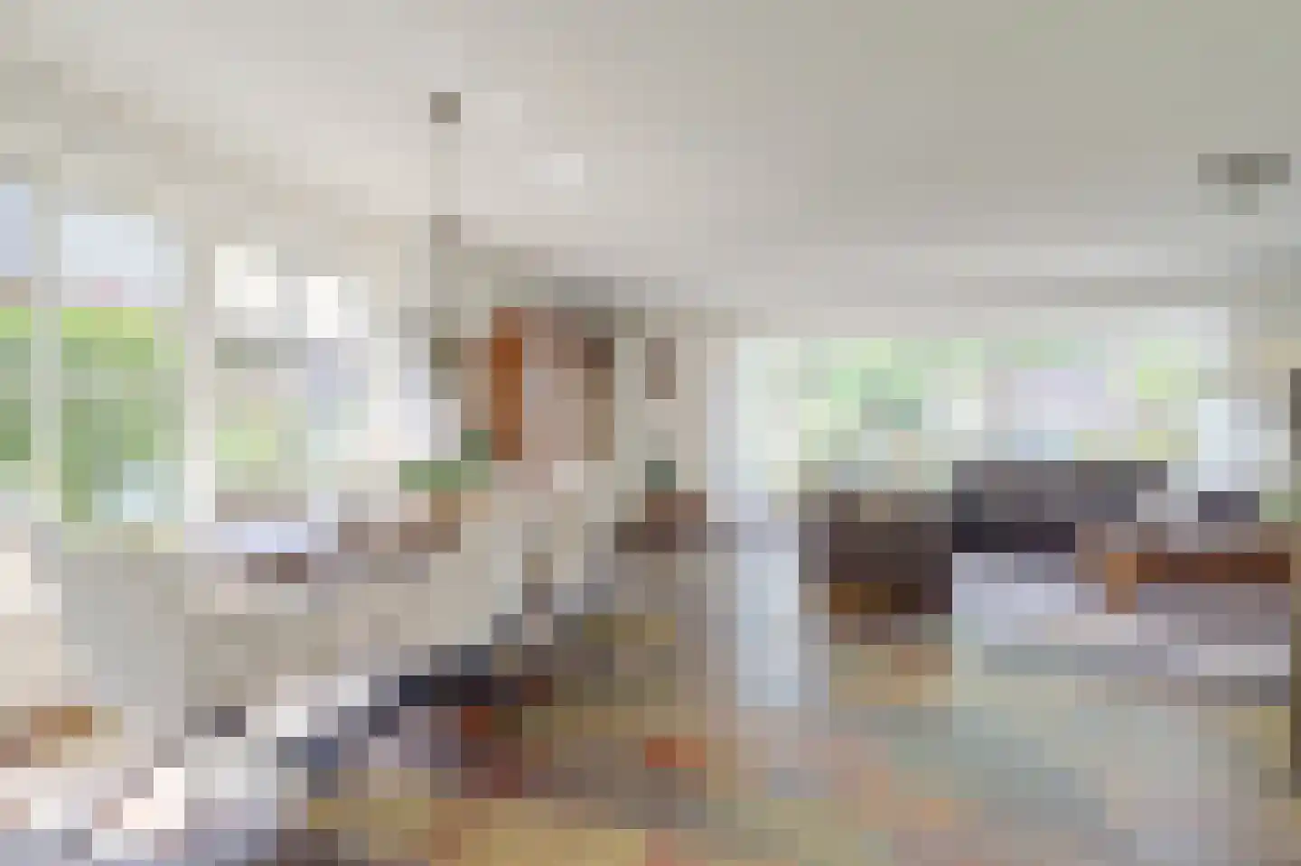 Bilzekruid 11 Veenendaal thumbnail 7