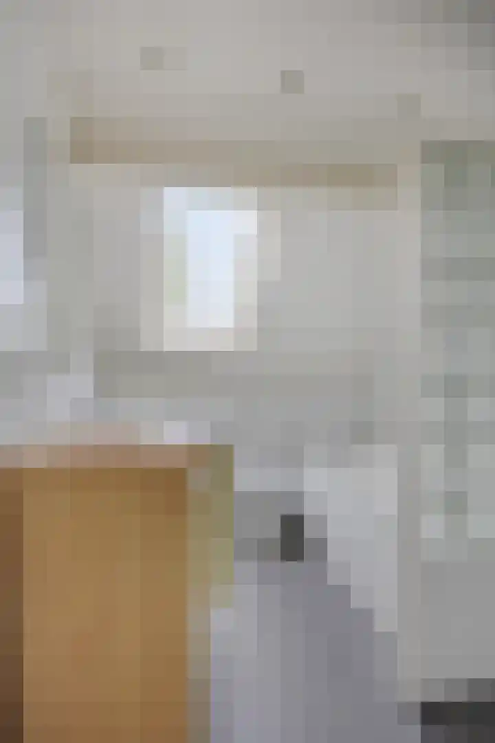 Bilzekruid 17 Nieuwerkerk aan den IJssel thumbnail 12
