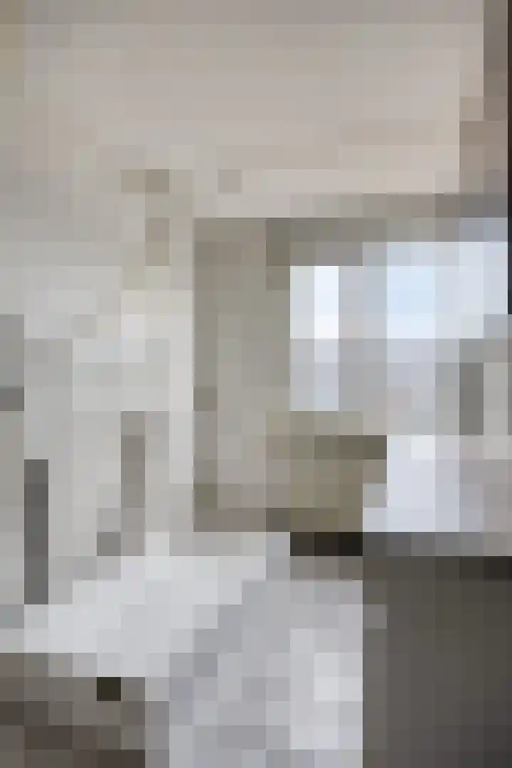 Bilzekruid 17 Nieuwerkerk aan den IJssel thumbnail 16