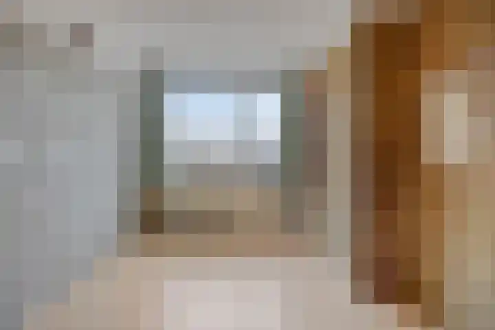 Bilzekruid 17 Nieuwerkerk aan den IJssel thumbnail 17