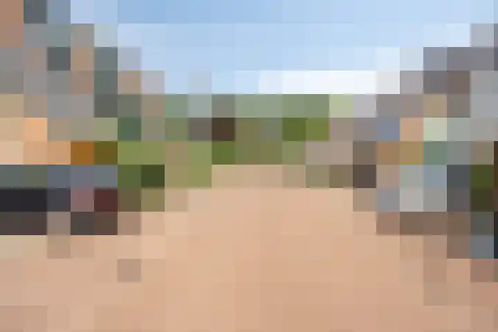 Bilzekruid 17 Nieuwerkerk aan den IJssel thumbnail 20