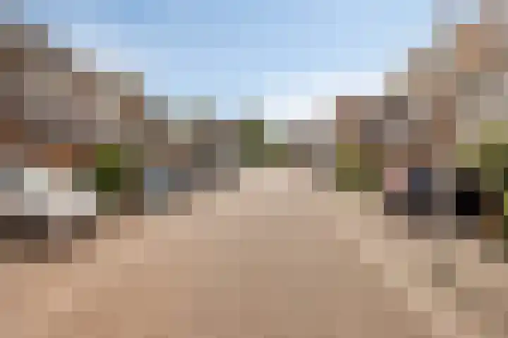 Bilzekruid 17 Nieuwerkerk aan den IJssel thumbnail 21