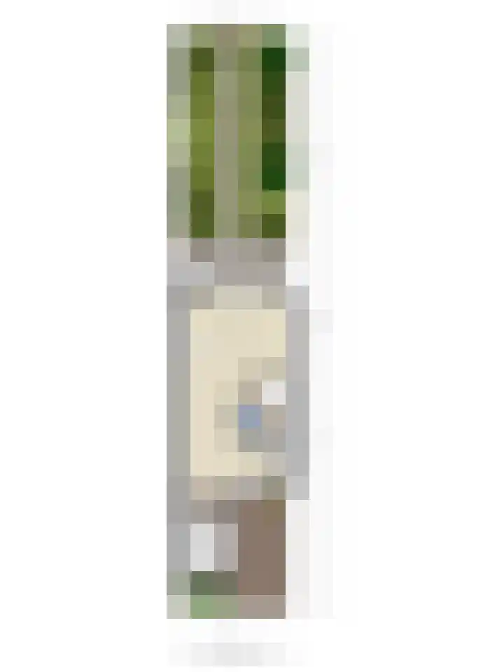 Bilzekruid 17 Nieuwerkerk aan den IJssel thumbnail 25