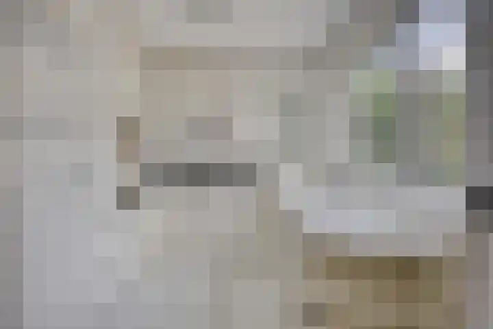 Bilzekruid 17 Nieuwerkerk aan den IJssel thumbnail 5