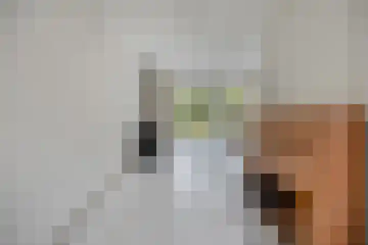 Bilzekruid 17 Nieuwerkerk aan den IJssel thumbnail 6