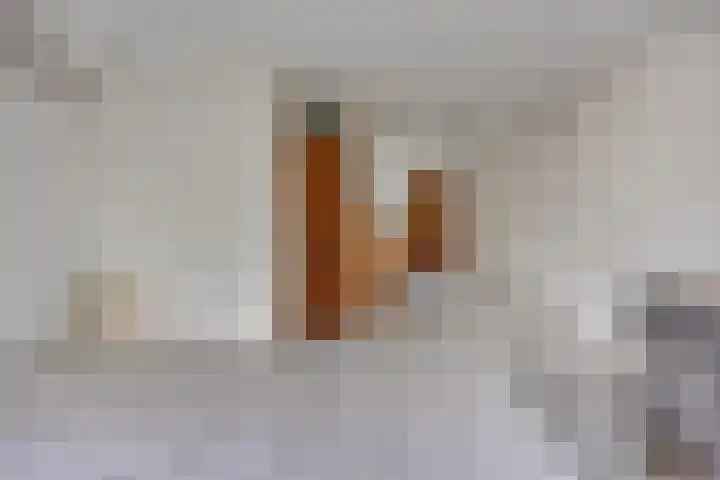 Bilzekruid 17 Nieuwerkerk aan den IJssel thumbnail 8