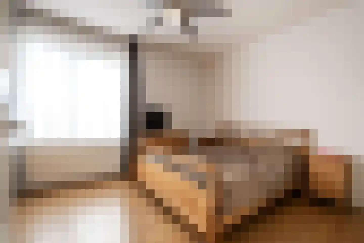 Bilzekruid 25 Berghem thumbnail 12