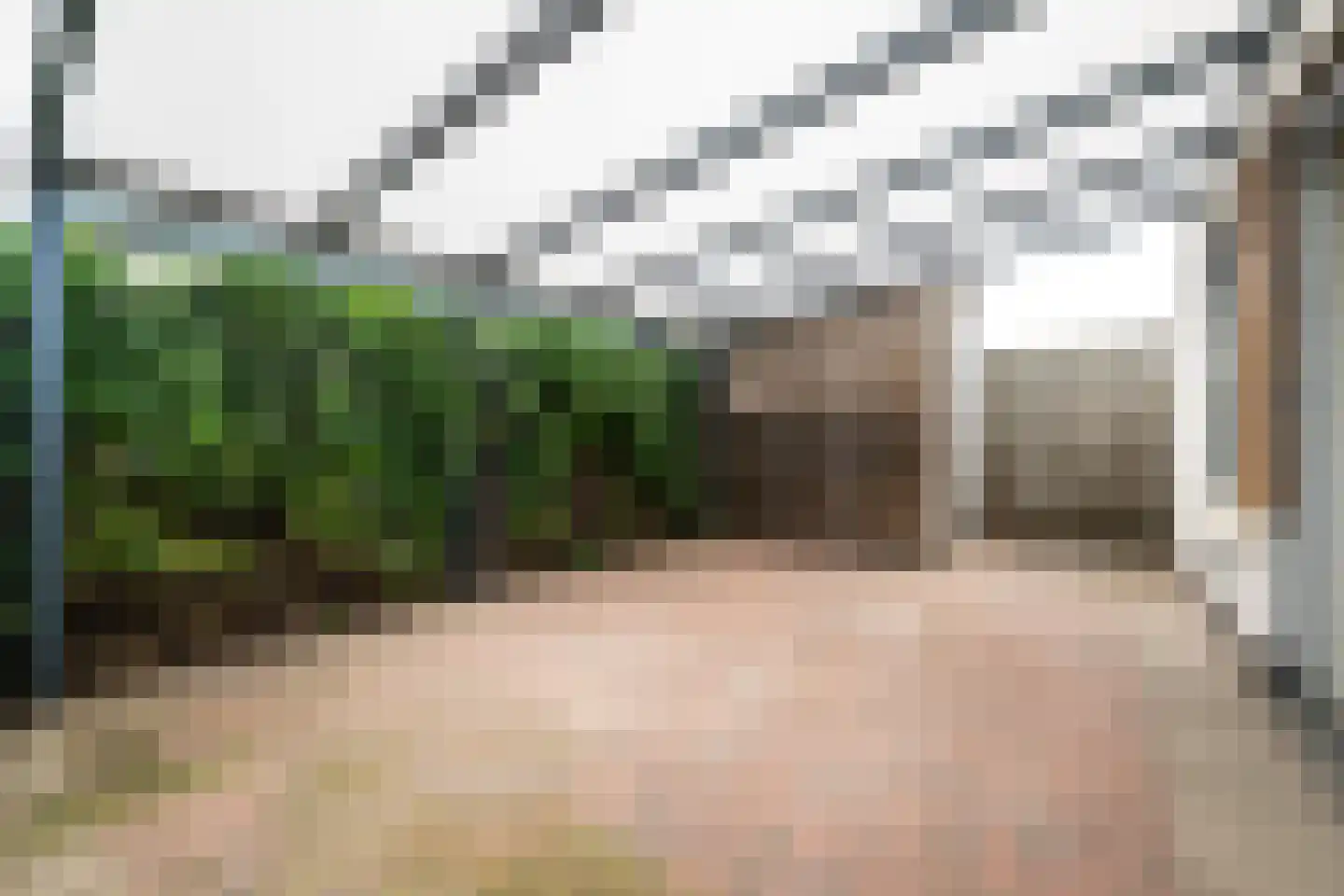 Bilzekruid 25 Berghem thumbnail 17