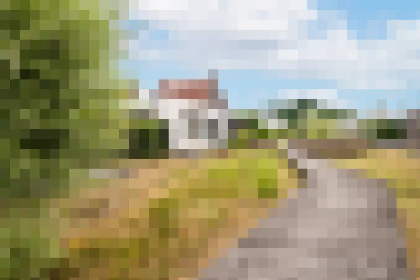 Bilzekruid 25 Berghem thumbnail 21