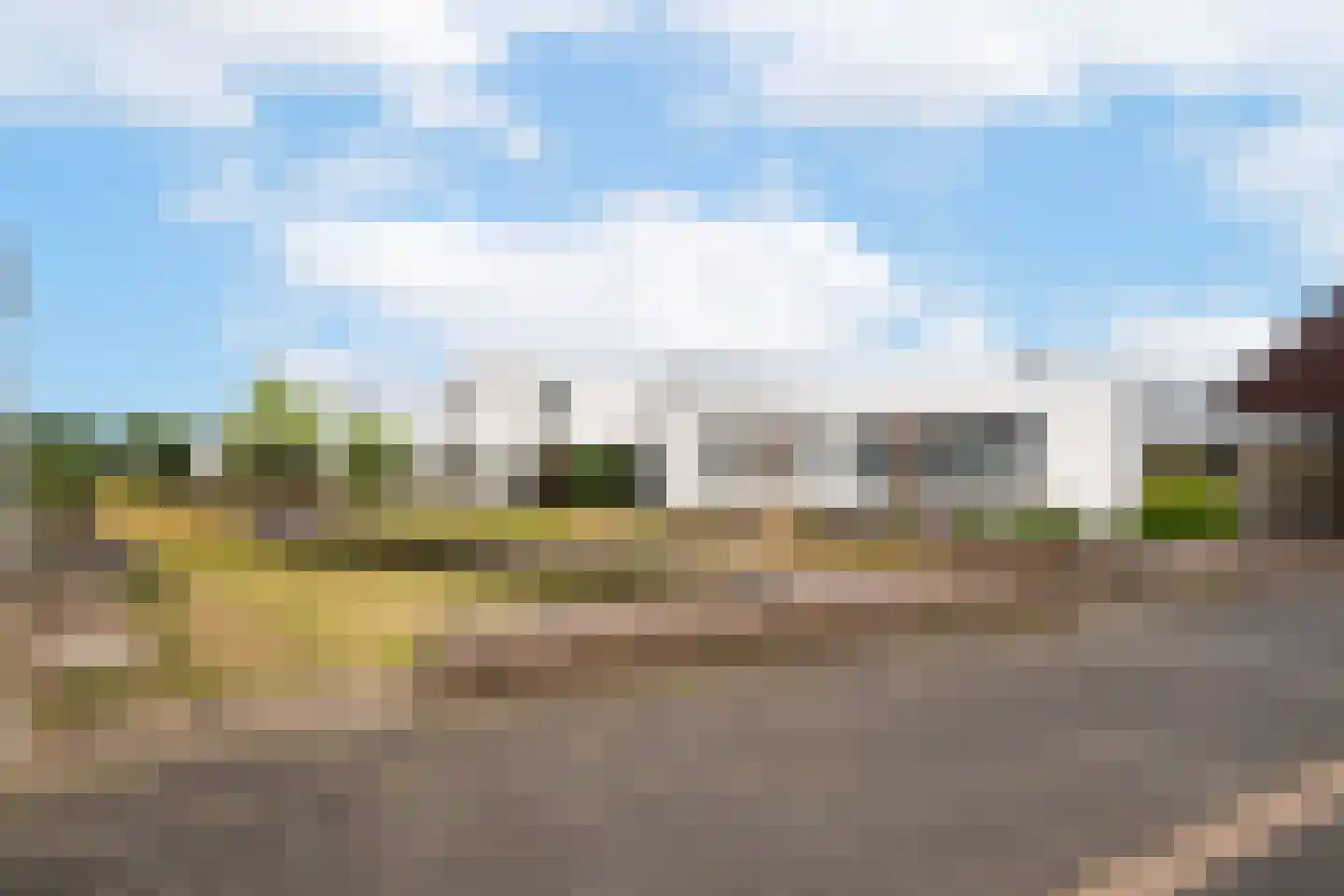 Bilzekruid 25 Berghem thumbnail 22