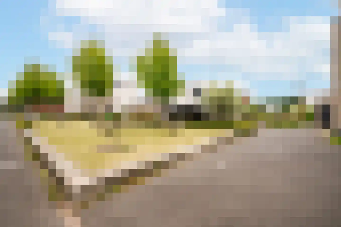 Bilzekruid 25 Berghem thumbnail 24