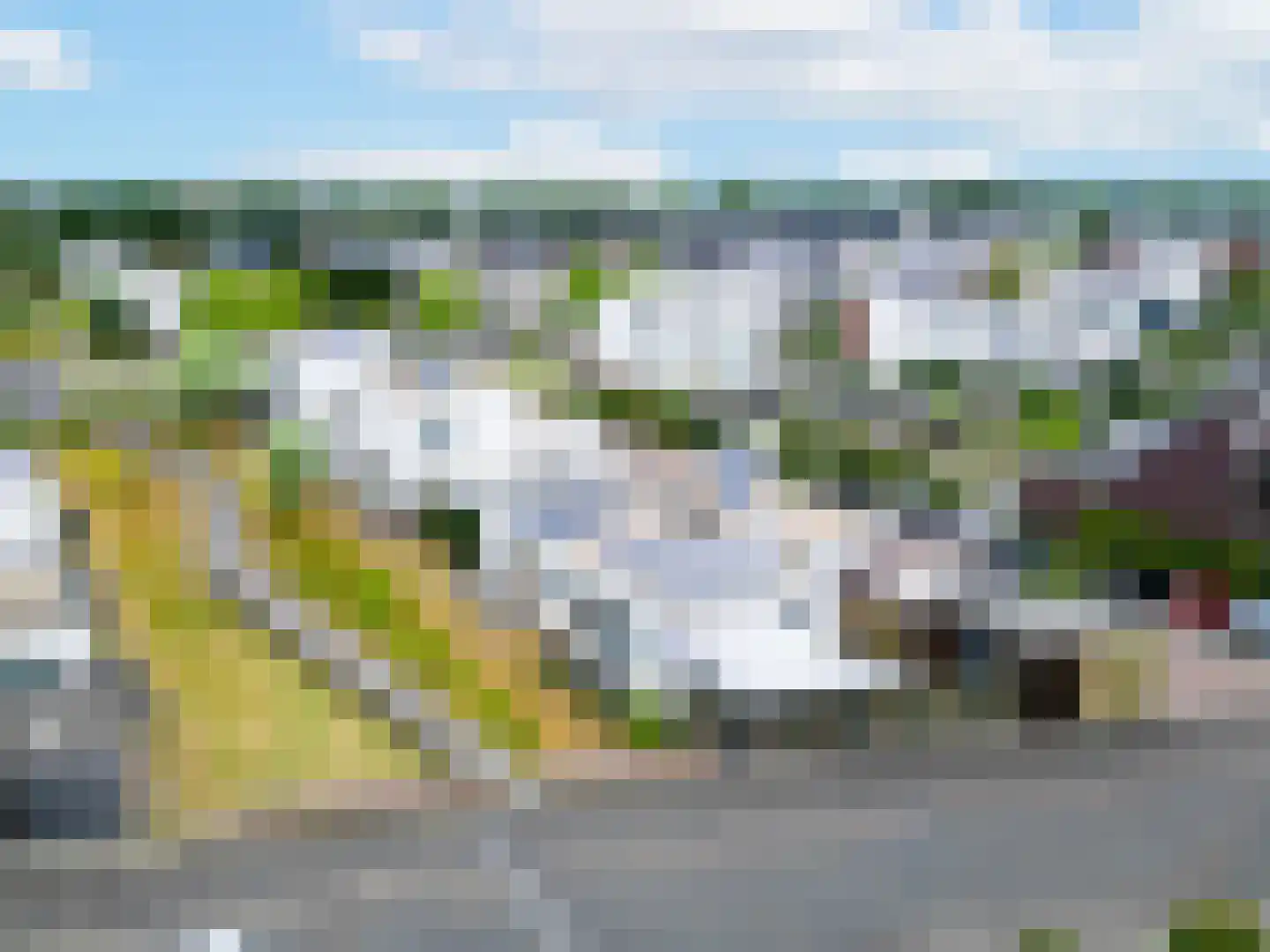 Bilzekruid 25 Berghem thumbnail 5