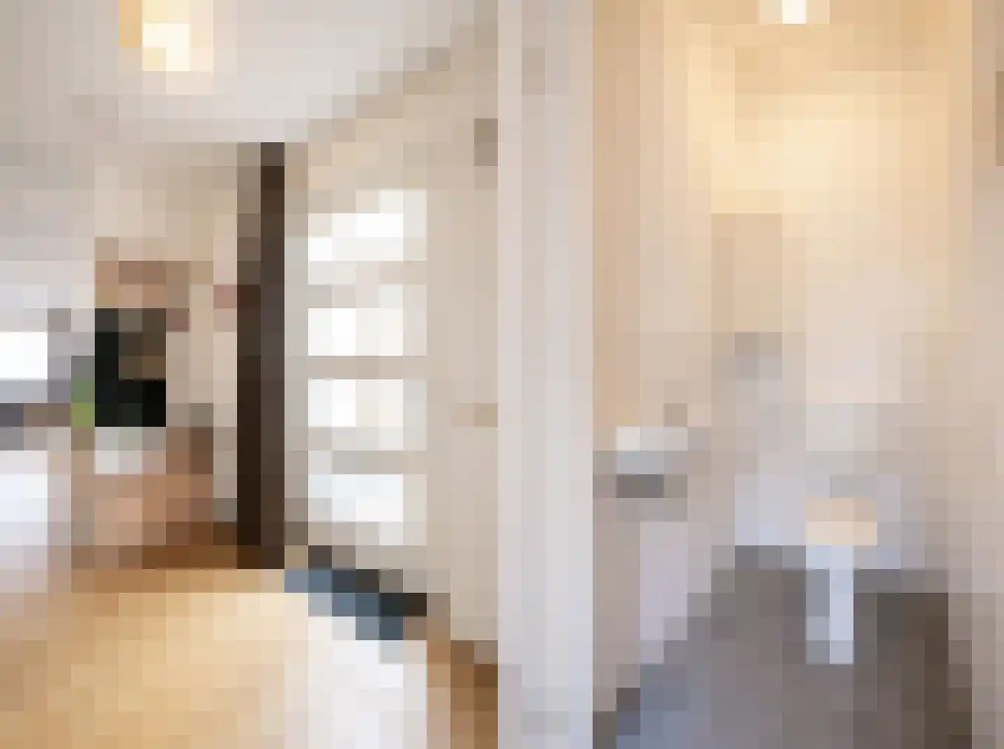 Bilzekruid 25 Berghem thumbnail 6