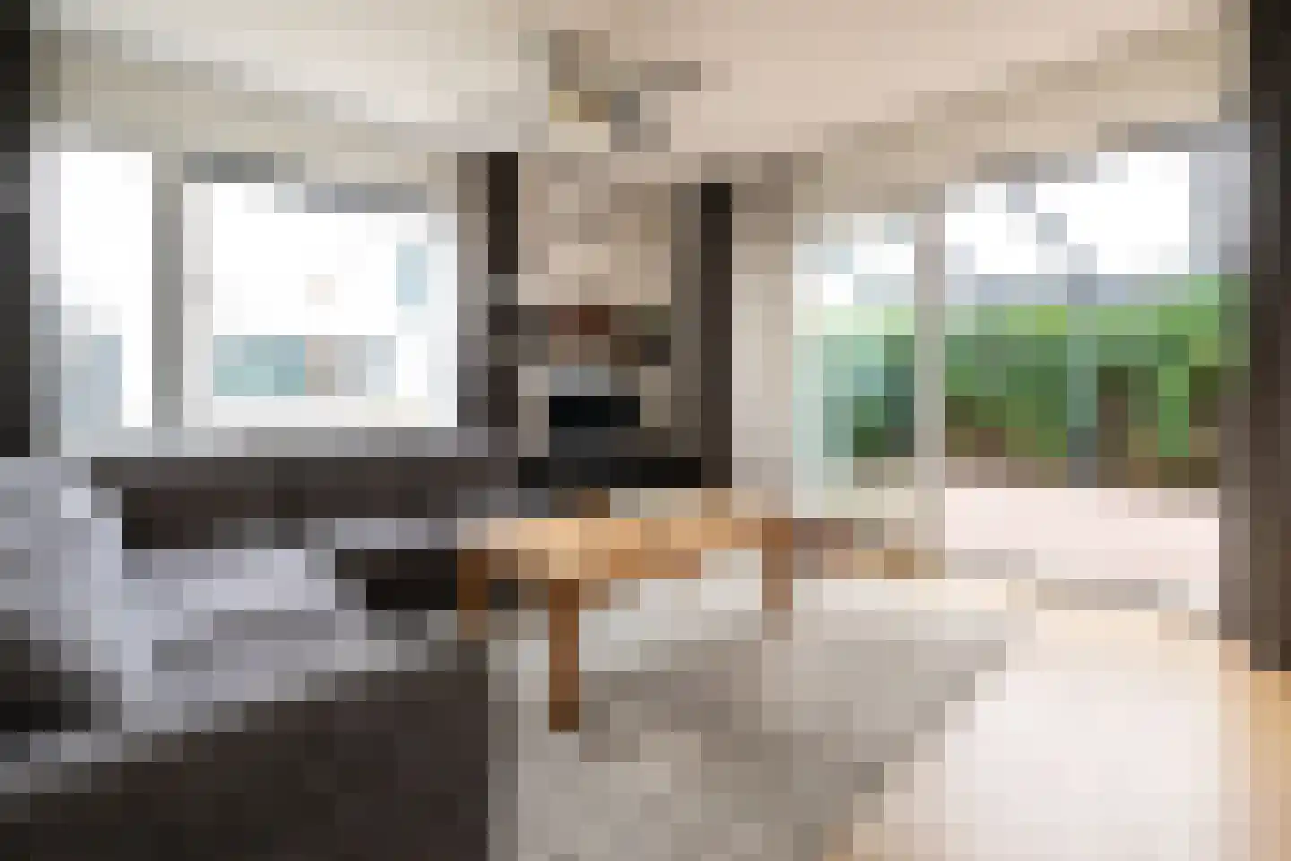 Bilzekruid 25 Berghem thumbnail 8