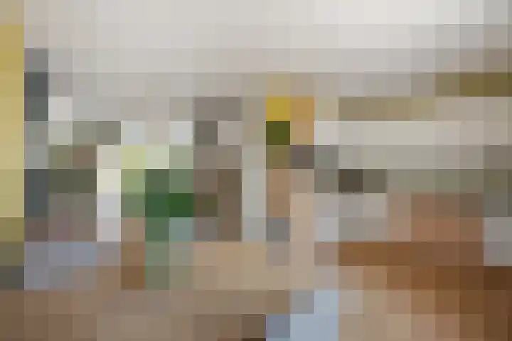 Bilzekruid 8 Nieuwerkerk aan den IJssel thumbnail 11