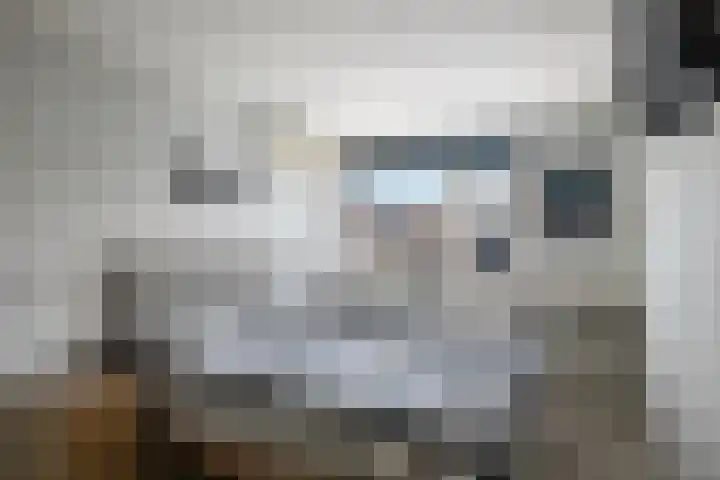 Bilzekruid 8 Nieuwerkerk aan den IJssel thumbnail 14
