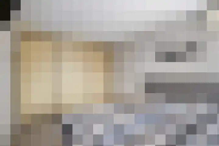 Bilzekruid 8 Nieuwerkerk aan den IJssel thumbnail 15