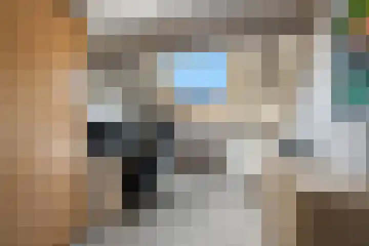 Bilzekruid 8 Nieuwerkerk aan den IJssel thumbnail 17