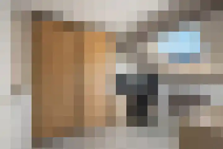 Bilzekruid 8 Nieuwerkerk aan den IJssel thumbnail 18