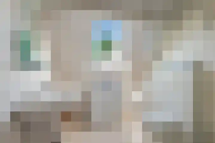 Bilzekruid 8 Nieuwerkerk aan den IJssel thumbnail 19
