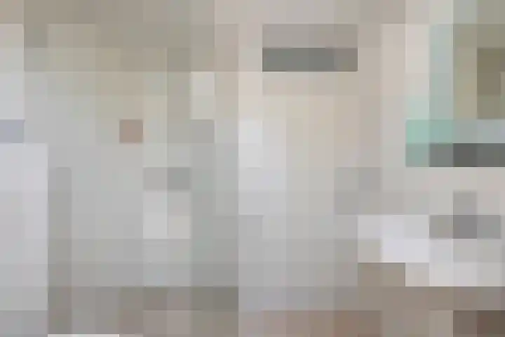 Bilzekruid 8 Nieuwerkerk aan den IJssel thumbnail 20