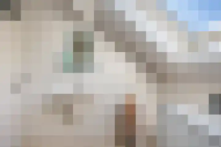 Bilzekruid 8 Nieuwerkerk aan den IJssel thumbnail 21