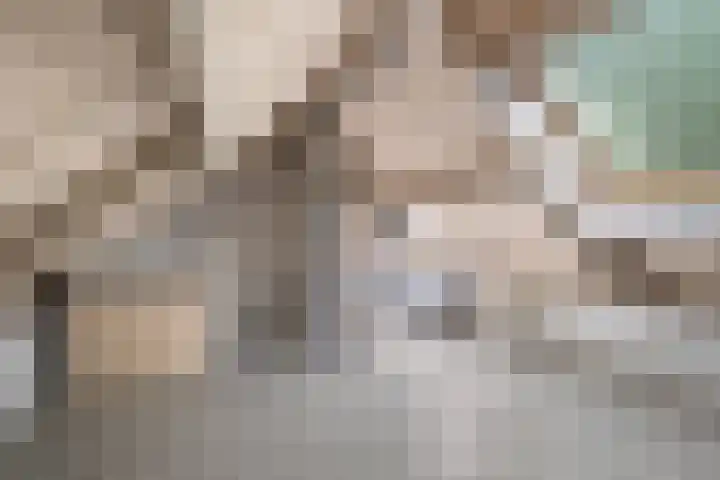 Bilzekruid 8 Nieuwerkerk aan den IJssel thumbnail 22