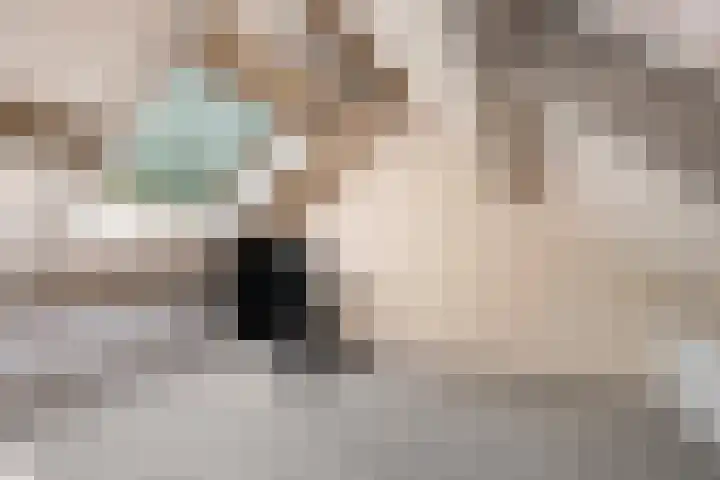 Bilzekruid 8 Nieuwerkerk aan den IJssel thumbnail 23
