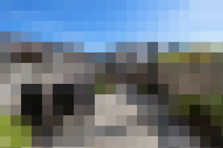 Bilzekruid 8 Nieuwerkerk aan den IJssel thumbnail 24