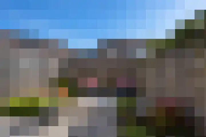 Bilzekruid 8 Nieuwerkerk aan den IJssel thumbnail 25