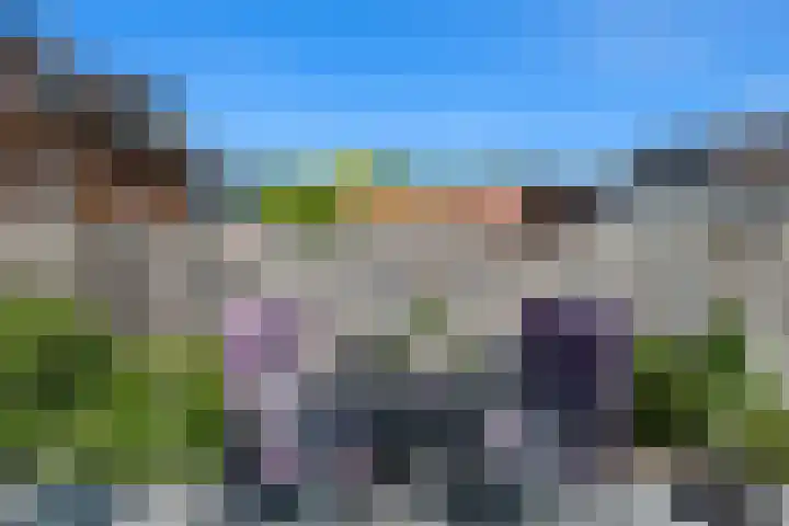 Bilzekruid 8 Nieuwerkerk aan den IJssel thumbnail 27
