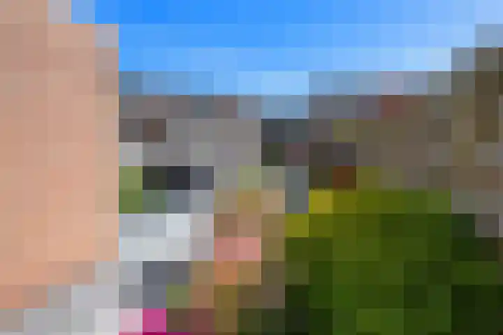 Bilzekruid 8 Nieuwerkerk aan den IJssel thumbnail 28
