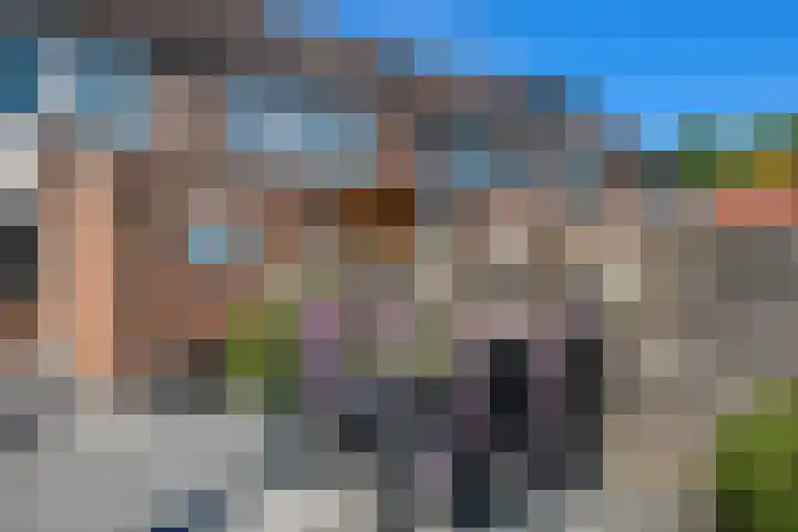 Bilzekruid 8 Nieuwerkerk aan den IJssel thumbnail 29