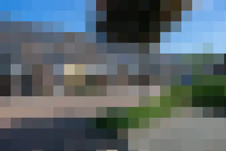 Bilzekruid 8 Nieuwerkerk aan den IJssel thumbnail 30
