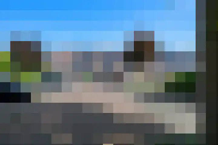 Bilzekruid 8 Nieuwerkerk aan den IJssel thumbnail 31