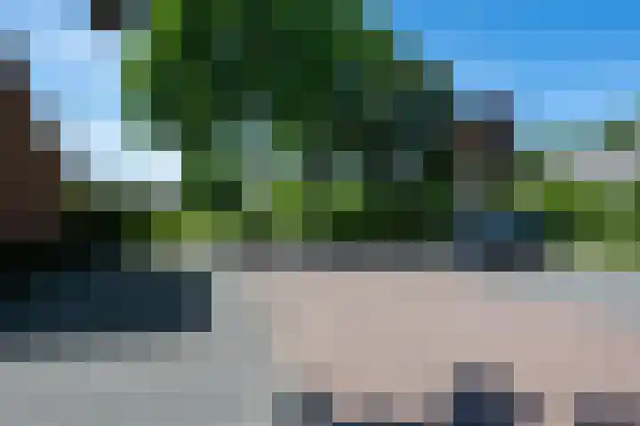 Bilzekruid 8 Nieuwerkerk aan den IJssel thumbnail 32