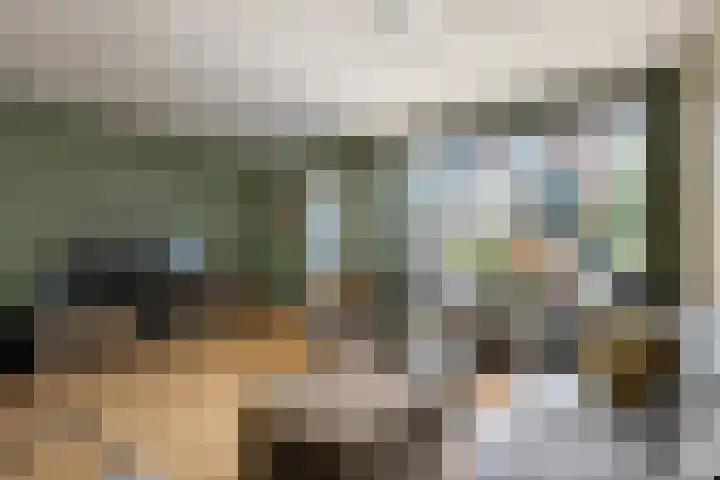 Bilzekruid 8 Nieuwerkerk aan den IJssel thumbnail 5
