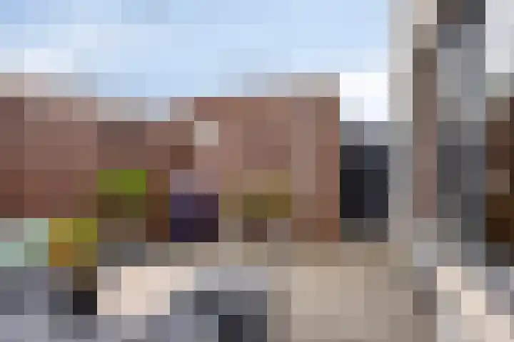 Bilzekruid 9 Berghem thumbnail 22