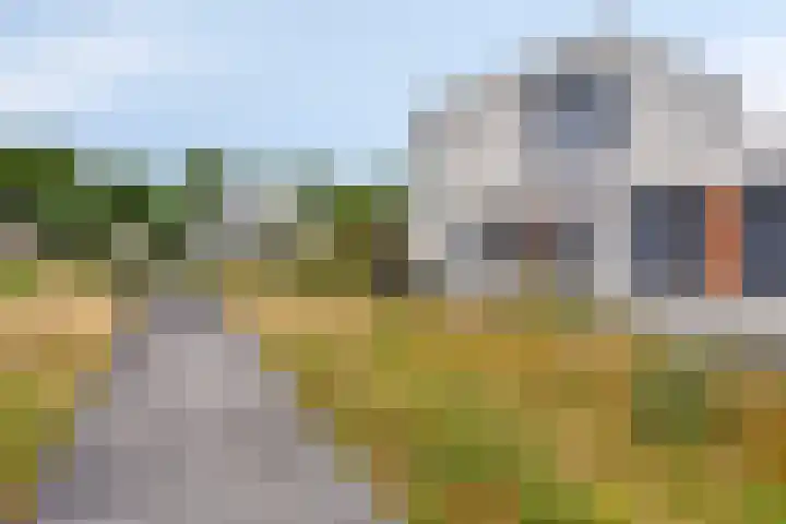 Bilzekruid 9 Berghem thumbnail 26