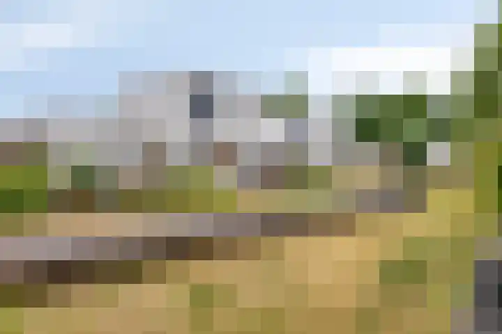 Bilzekruid 9 Berghem thumbnail 27