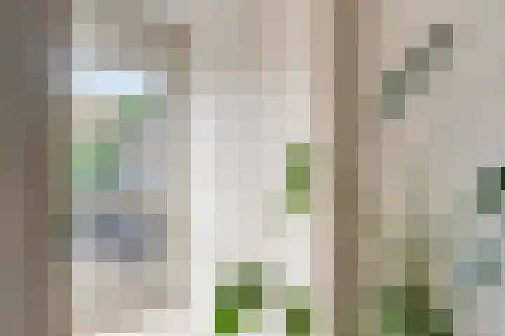 Bim van der Kleistraat 4 Oisterwijk thumbnail 14