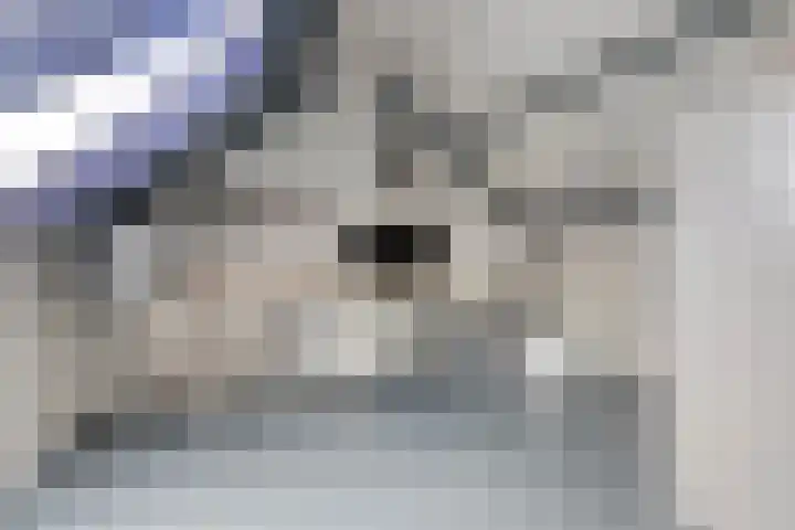 Bim van der Kleistraat 4 Oisterwijk thumbnail 23