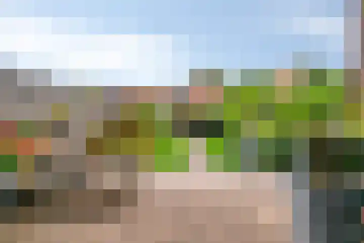 Bim van der Kleistraat 4 Oisterwijk thumbnail 25