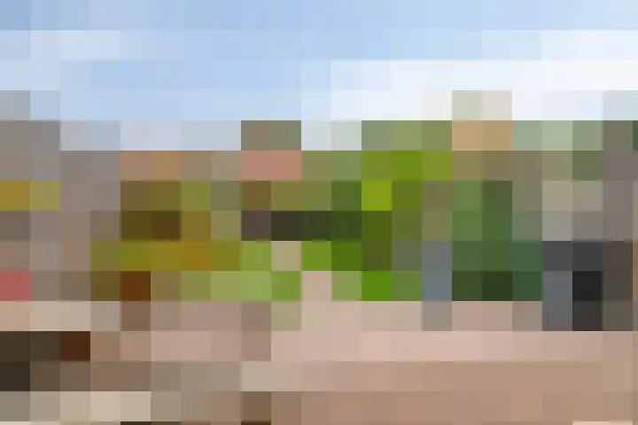 Bim van der Kleistraat 4 Oisterwijk thumbnail 26