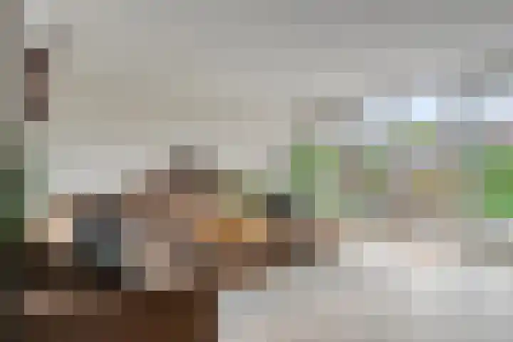 Bim van der Kleistraat 4 Oisterwijk thumbnail 5