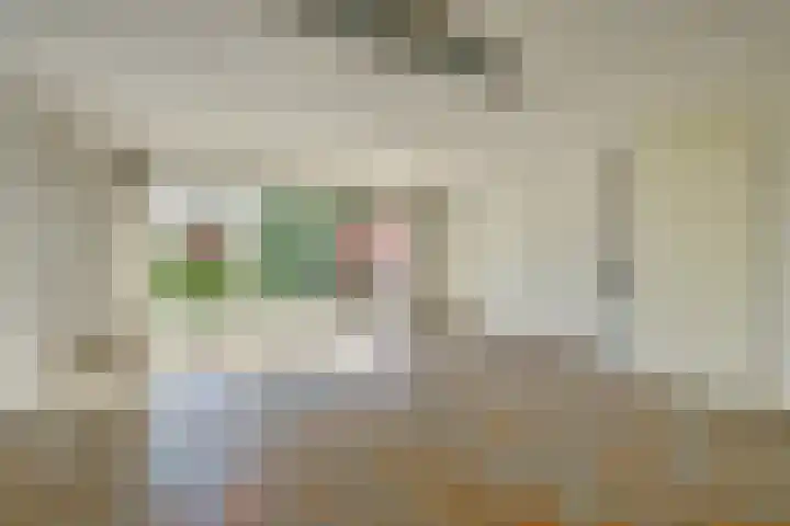 Binckhorst 65 Hoogkarspel thumbnail 11