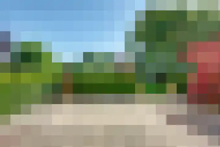 Binckhorst 65 Hoogkarspel thumbnail 13